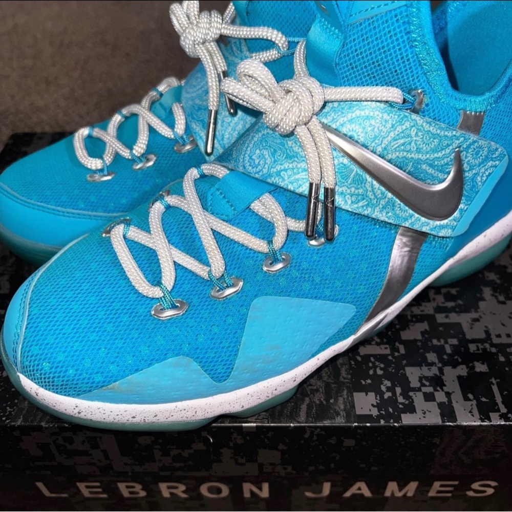 Nike Zoom LeBron XIV HWC (GS) Nature Boy (6.5Y) - Picture 6 of 7